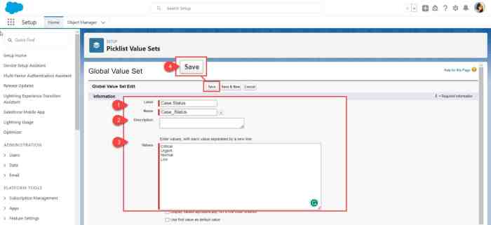 Picklist value global salesforce set create field promote existing sets click label button enter name