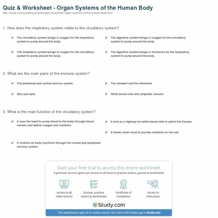 Human body systems answer key