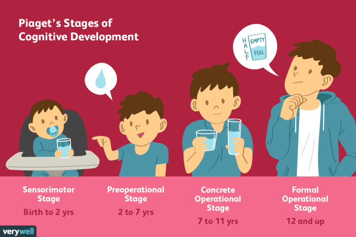 Piaget's theory of cognitive development questions