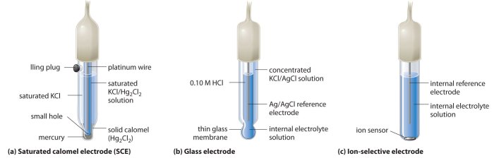 Ph meter electrode parts electrodes concentration cell metre scheme sea diagram glass potential circuit solution hydrogen information sensors cells gif