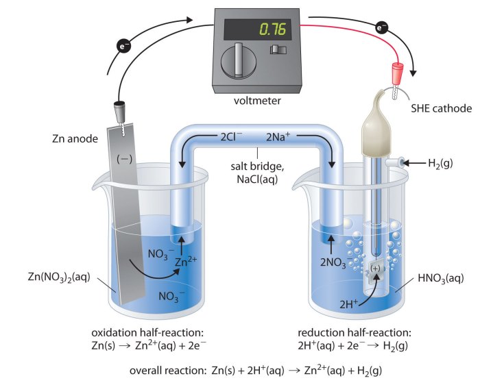 Reference silver chloride electrode electrodes