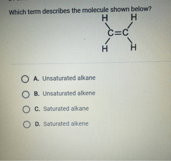 Which term describes the molecule shown below