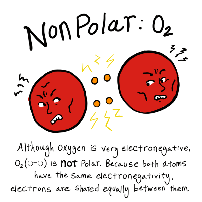 Which statement explains why the molecule is nonpolar