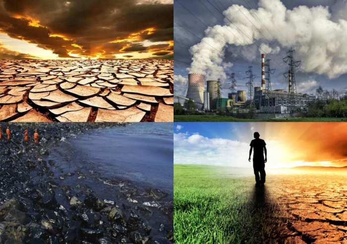 Explain the significance of clear-cutting acid rain smog and eutrophication